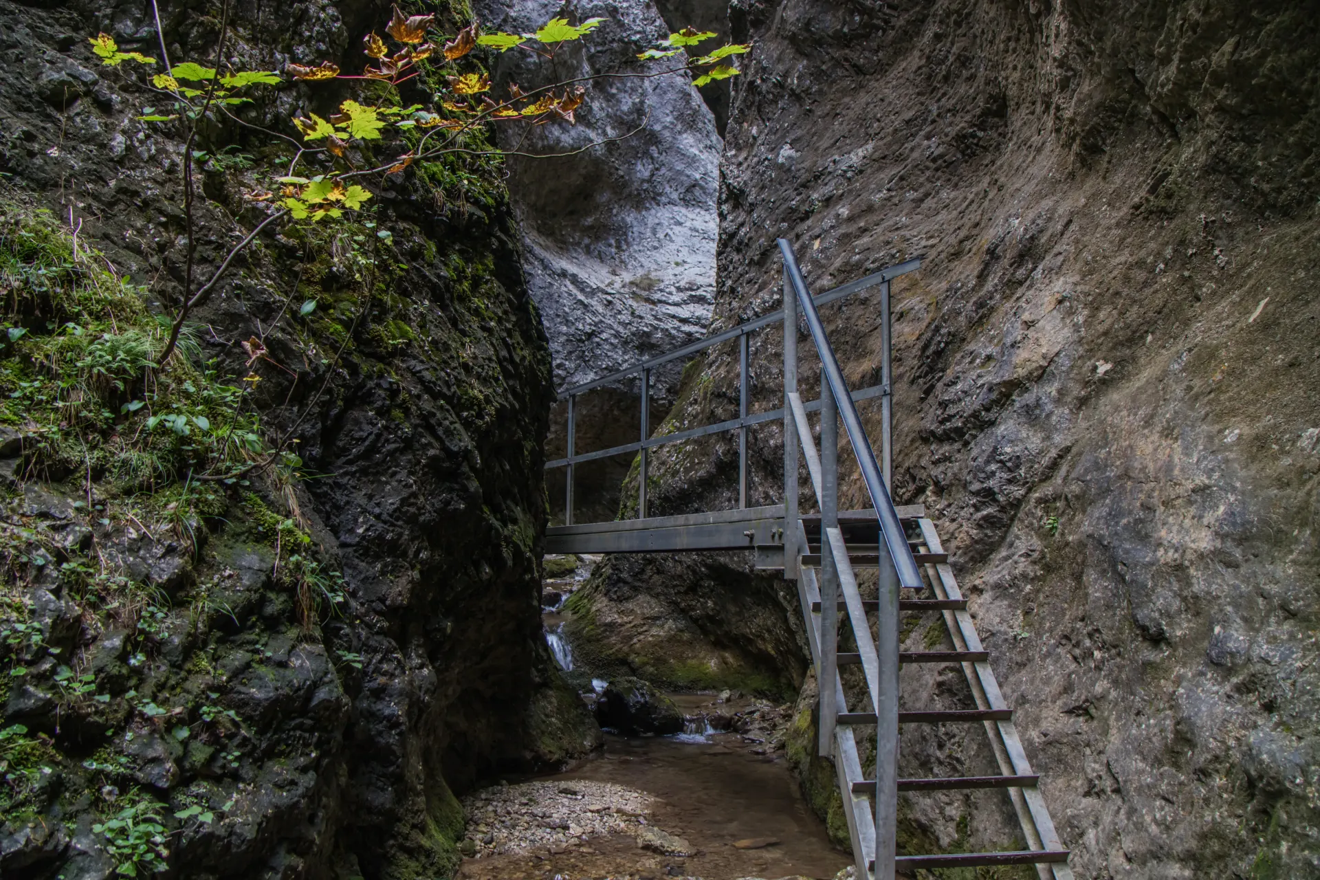 Metalowa drabinka w wąwozie Słowackiego Raju